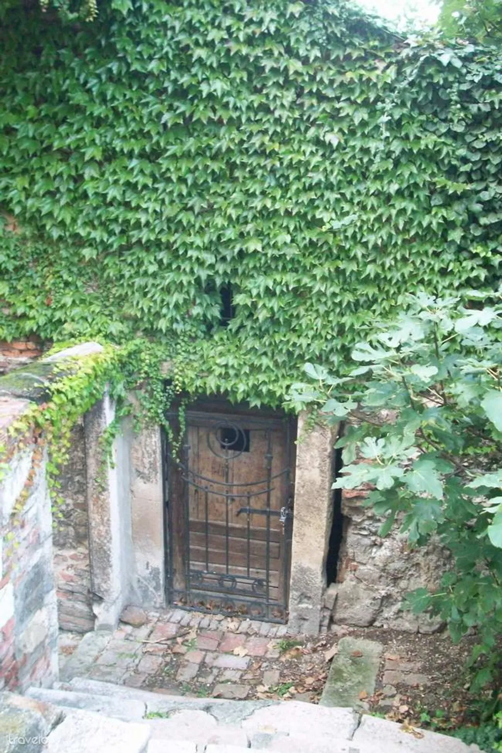 Forrás: Origo 