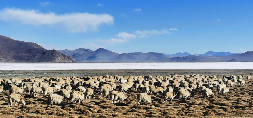 Forrás: AFP/Xinhua News Agency/ Shen Hongbing