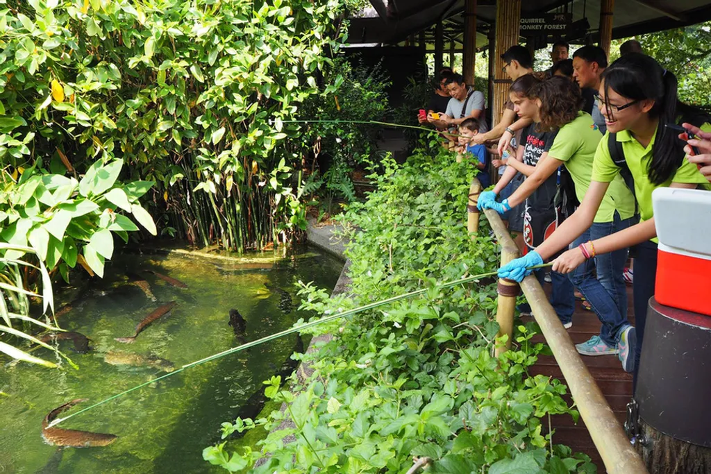Fotó: Wildlife Reserves Singapore 