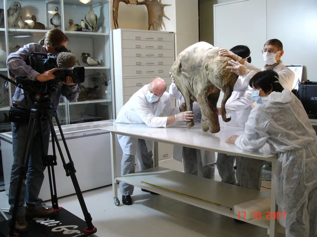 Fotó: Natural History Museum 