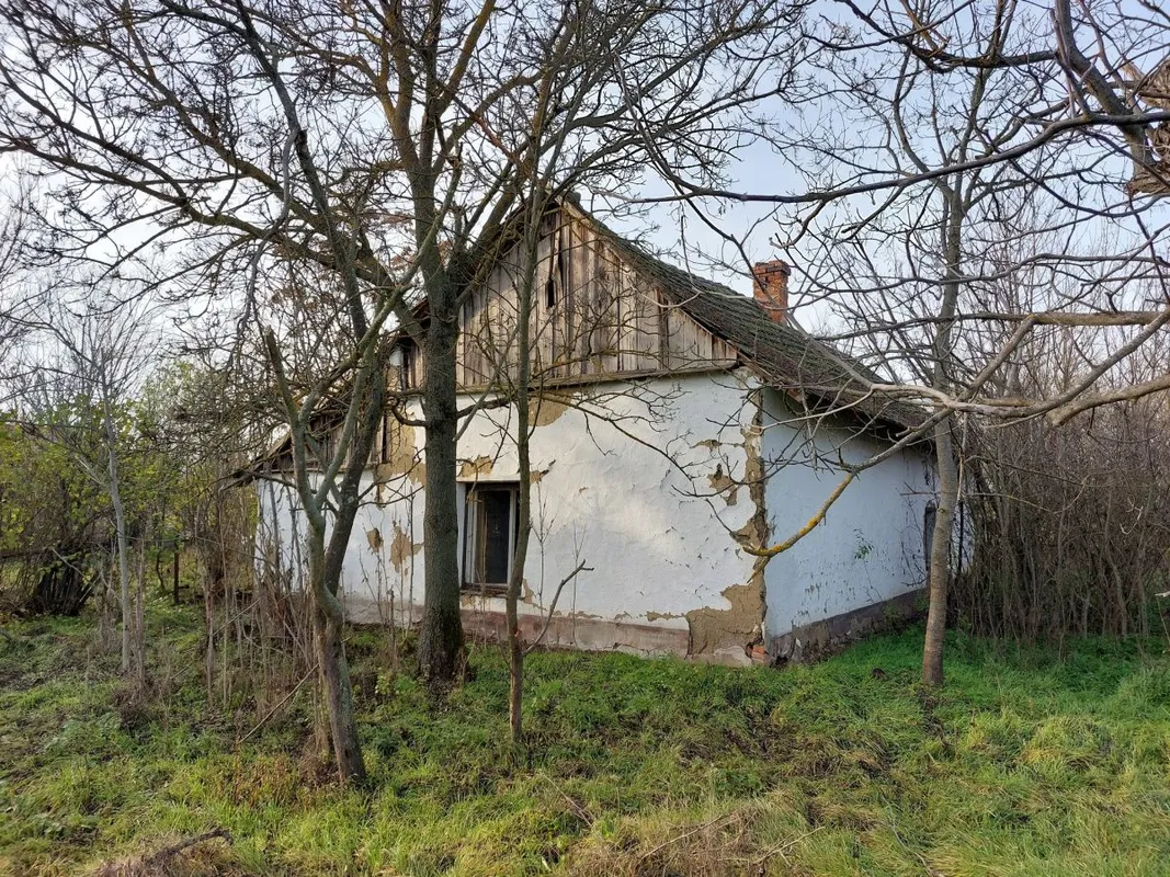 ház
