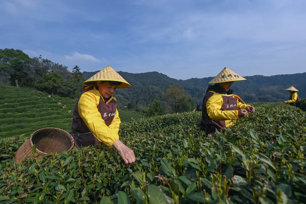 Forrás: Xinhua via AFP/Xinhua News Agency.All Rights Reserved/Xu Yu