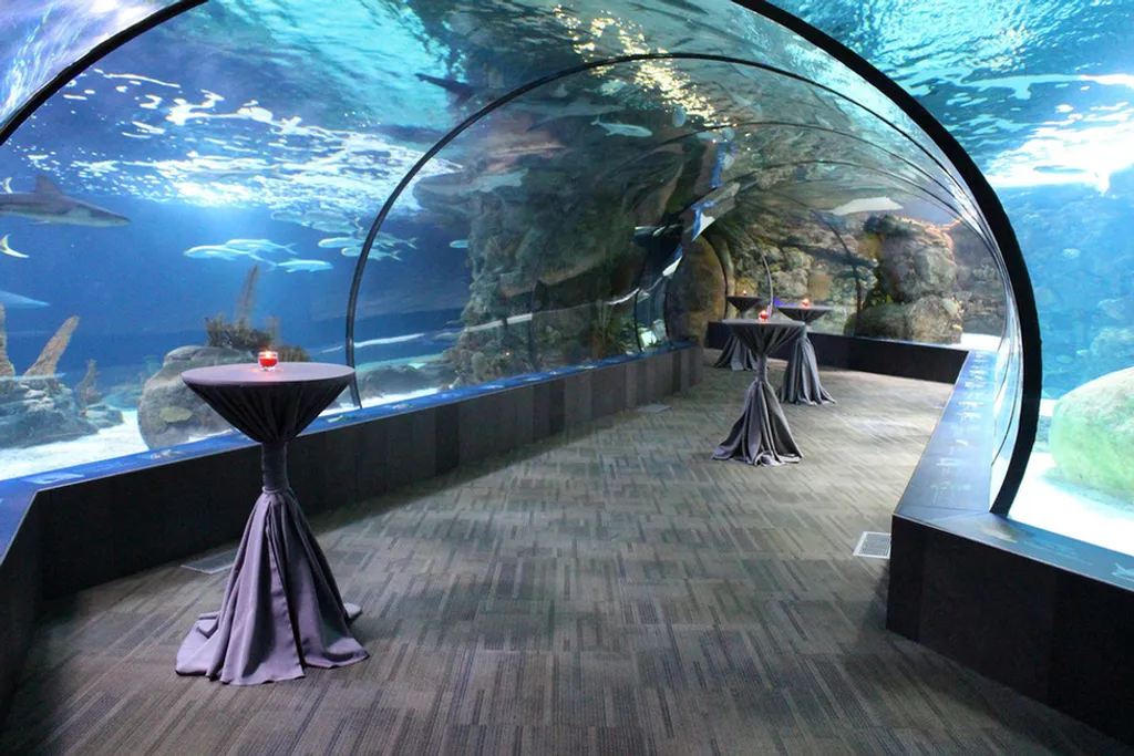 Fotó: Omaha's Henry Doorly Zoo and Aquarium 