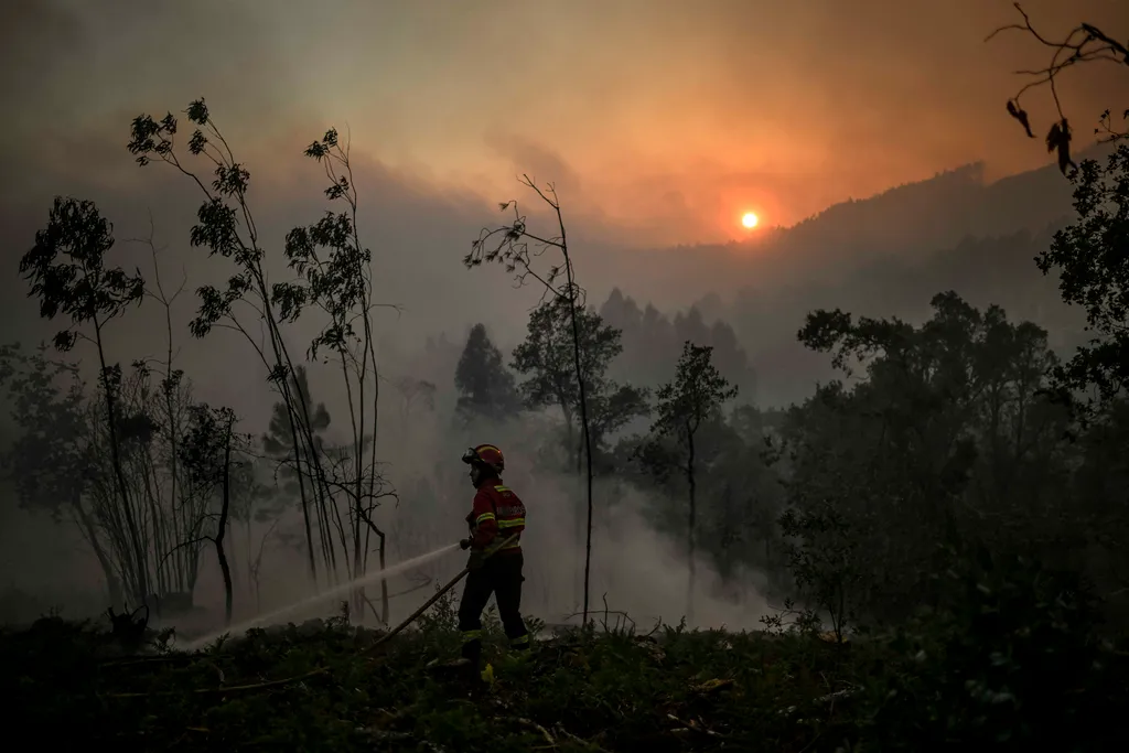 Forrás: AFP/Patricia De Melo Moreira