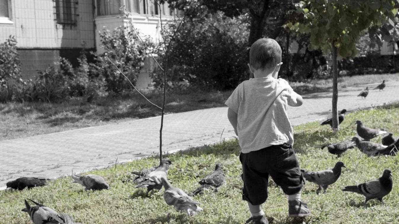 Így teltek a nyarak az én gyerekkoromban