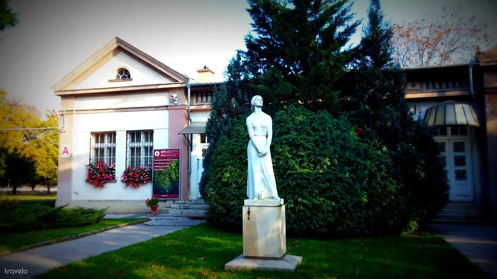 Fotó: mimi 