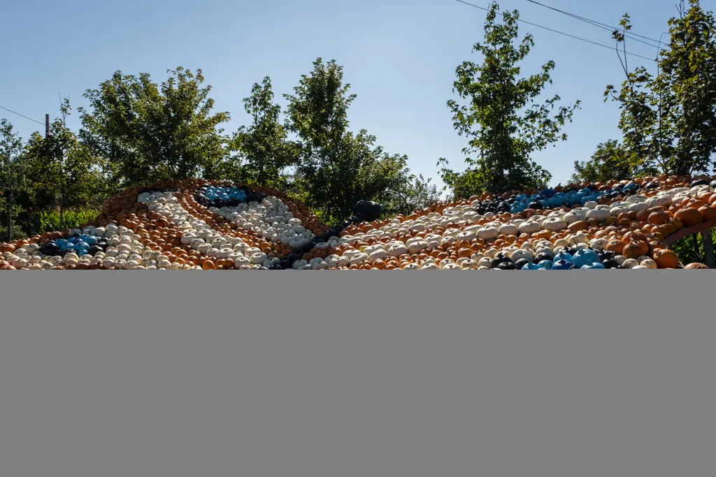 Forrás: Anadolu Agency via AFP/2022 Anadolu Agency/Stringer