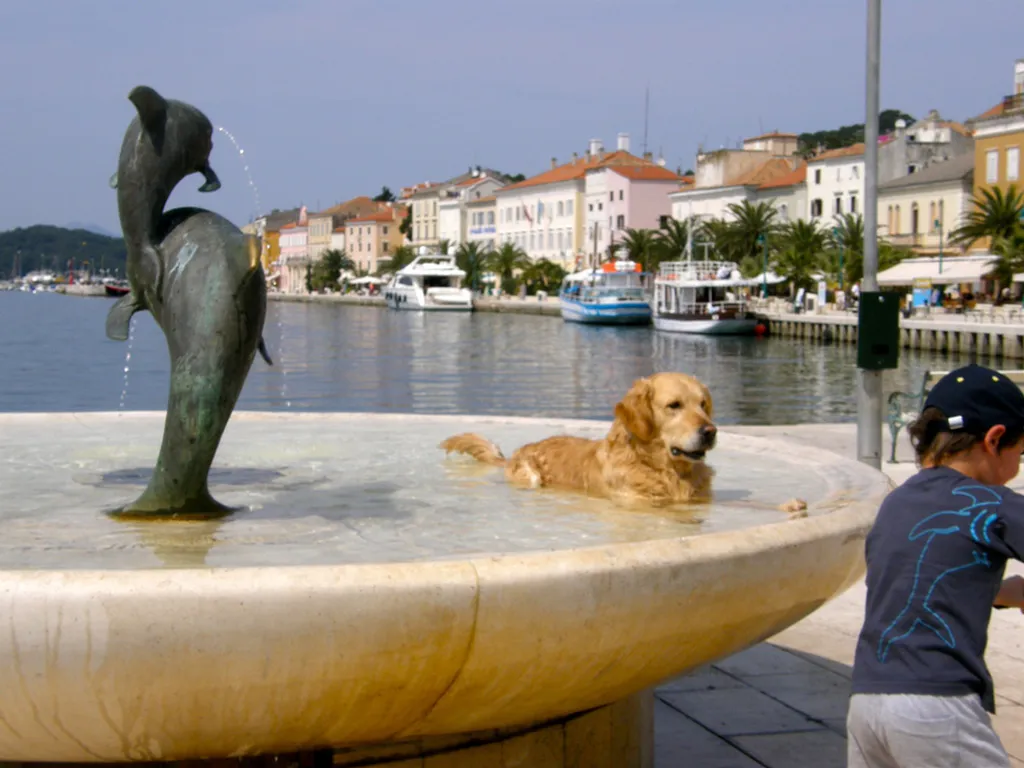 Fotó: flickr 