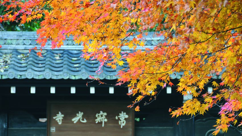 Őszi álmunk: Japán és Délkelet-Ázsia