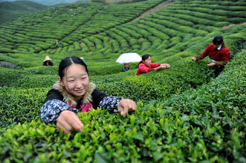 Fotó: Zhuo Zhongwei Xinhua / Eyevine / Northfoto 