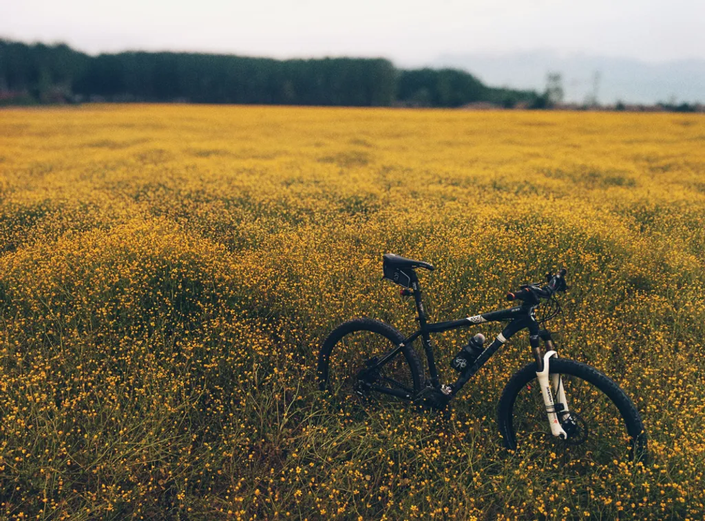 Fotó: Semin Aydin / Unsplash 