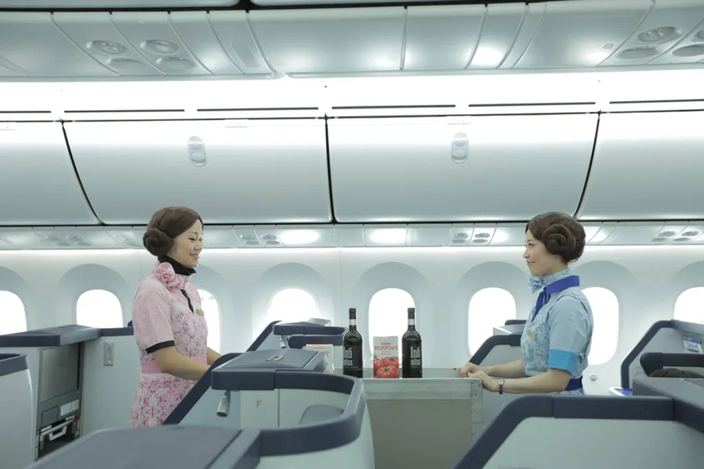 Fotó: All Nippon Airways 