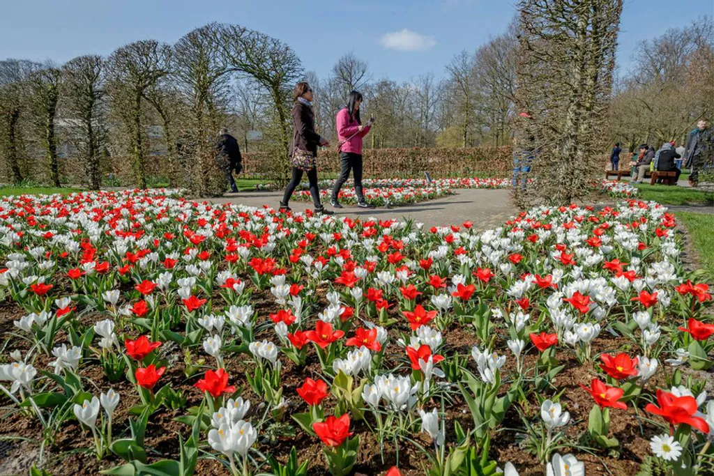 Fotó: Visit Keukenhof / Facebook 
