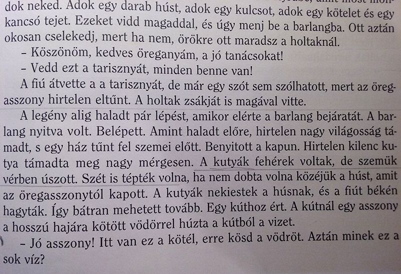 iskolások oktatás tankönyv
