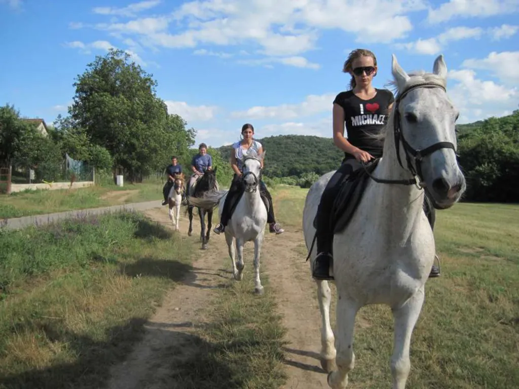 Fotó: Szentesi Farm 