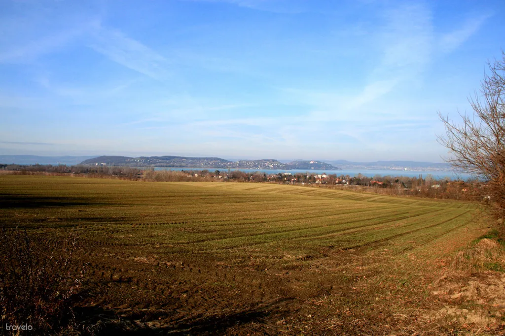 Fotó: hollosye 