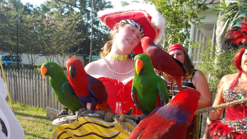 Mexikói-öböl