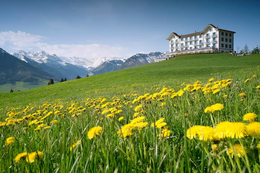 Fotó: Hotel Villa Honegg 