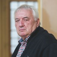 Havas Henrik képe