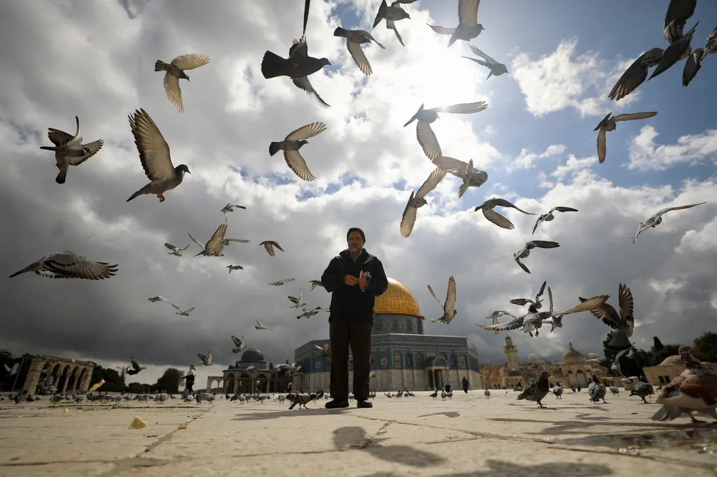 Forrás: AFP/Xinhua News Agency/Jamal Awad