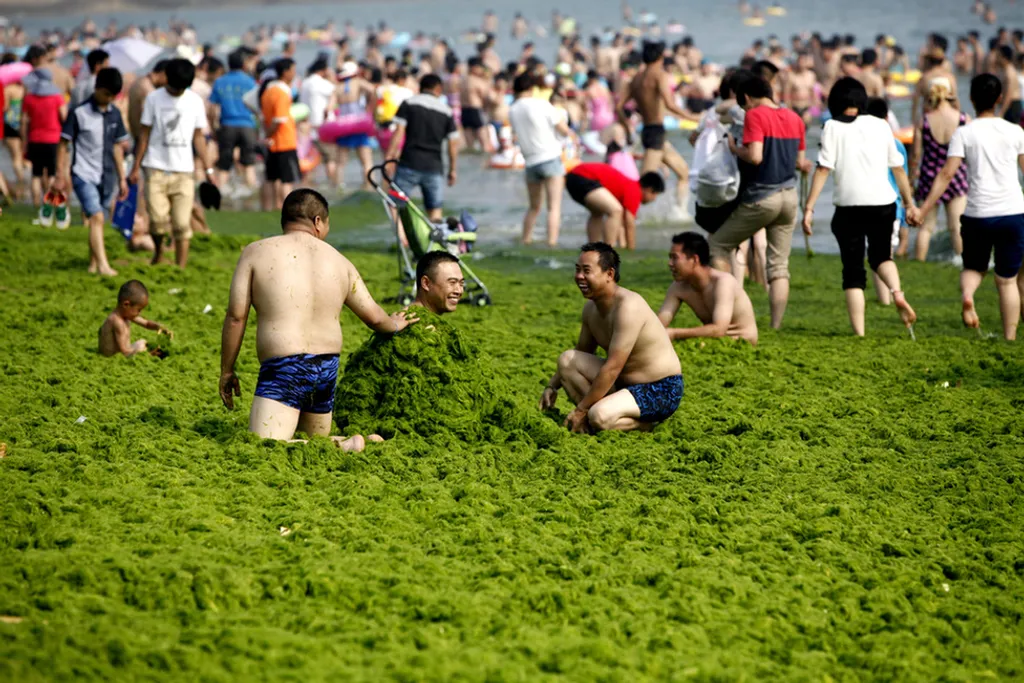 China Foto Press / Barcroft Medi / Northfoto 