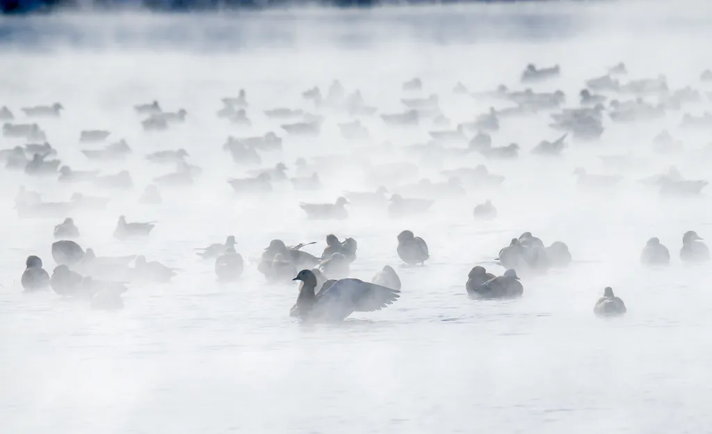 Forrás: NurPhoto via AFP/Costfoto/NurPhoto/Cfoto