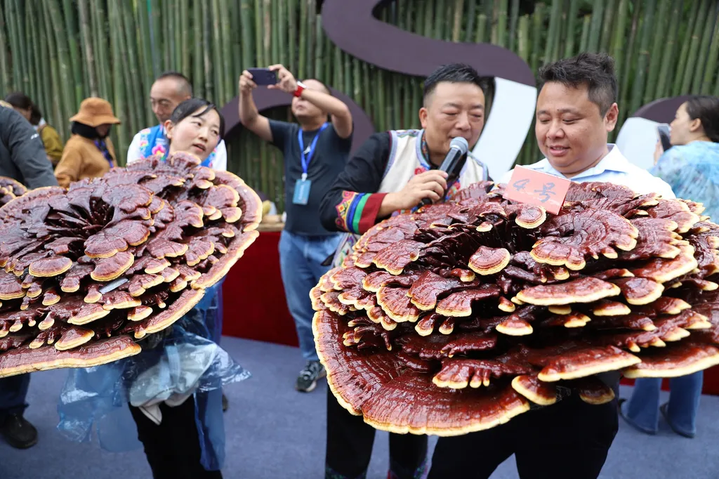 Forrás: Imaginechina via AFP/Stringer