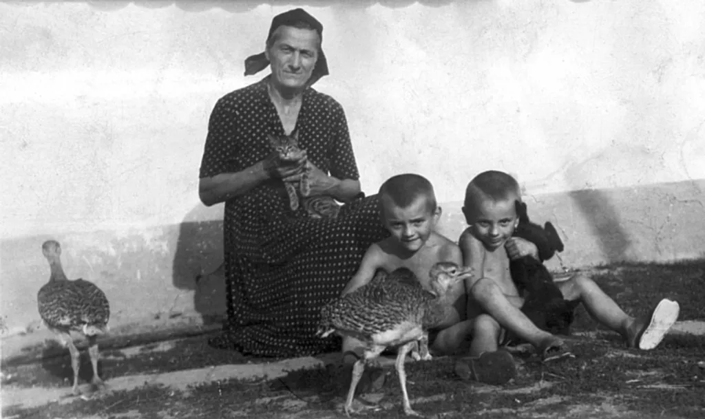 Fotó: Motkó Béla / tuzok.hu 