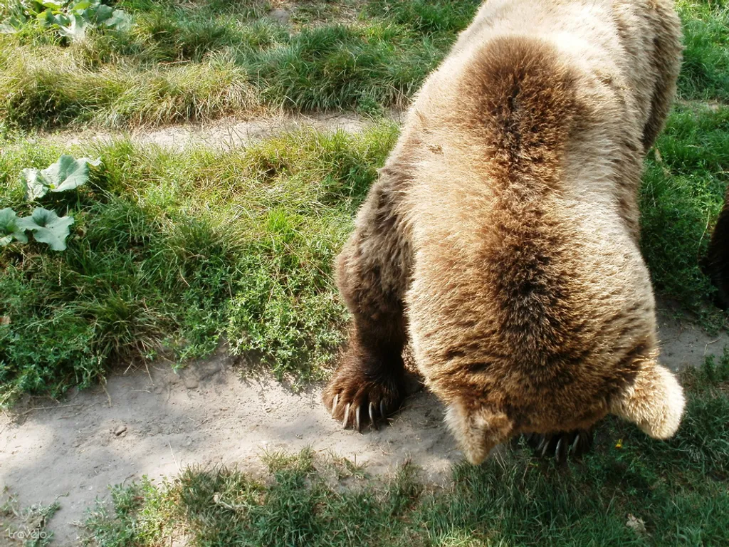 Fotó: mimi 