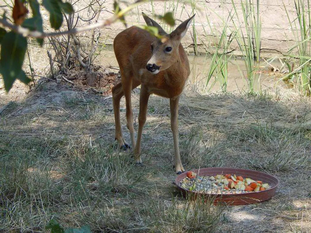 Fotó: Hortobágyi Nemzeti Park Igazgatóság 