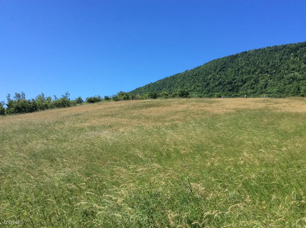 Fotó: hollosye 
