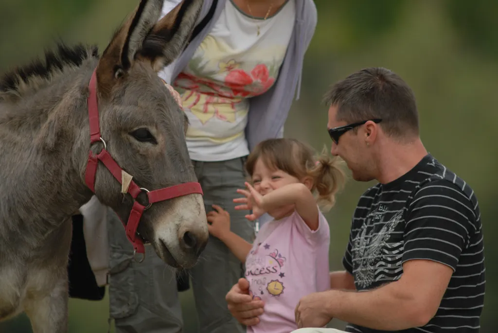 Fotó: Balaton-felvidéki Nemzeti Park Igazgatóság 