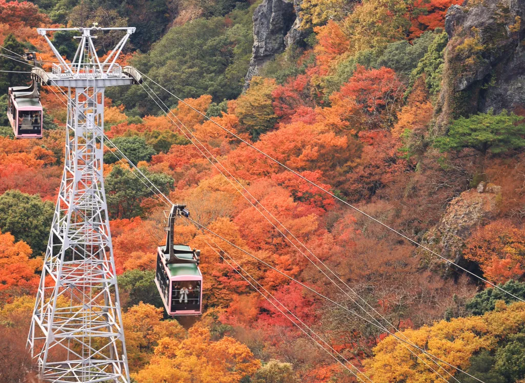 Forrás: The Yomiuri Shimbun via AFP/Yomiuri/Makoto Kondo