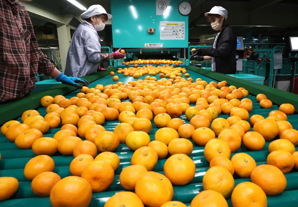Forrás: The Yomiuri Shimbun via AFP/Yomiuri/Daisuke Urakami