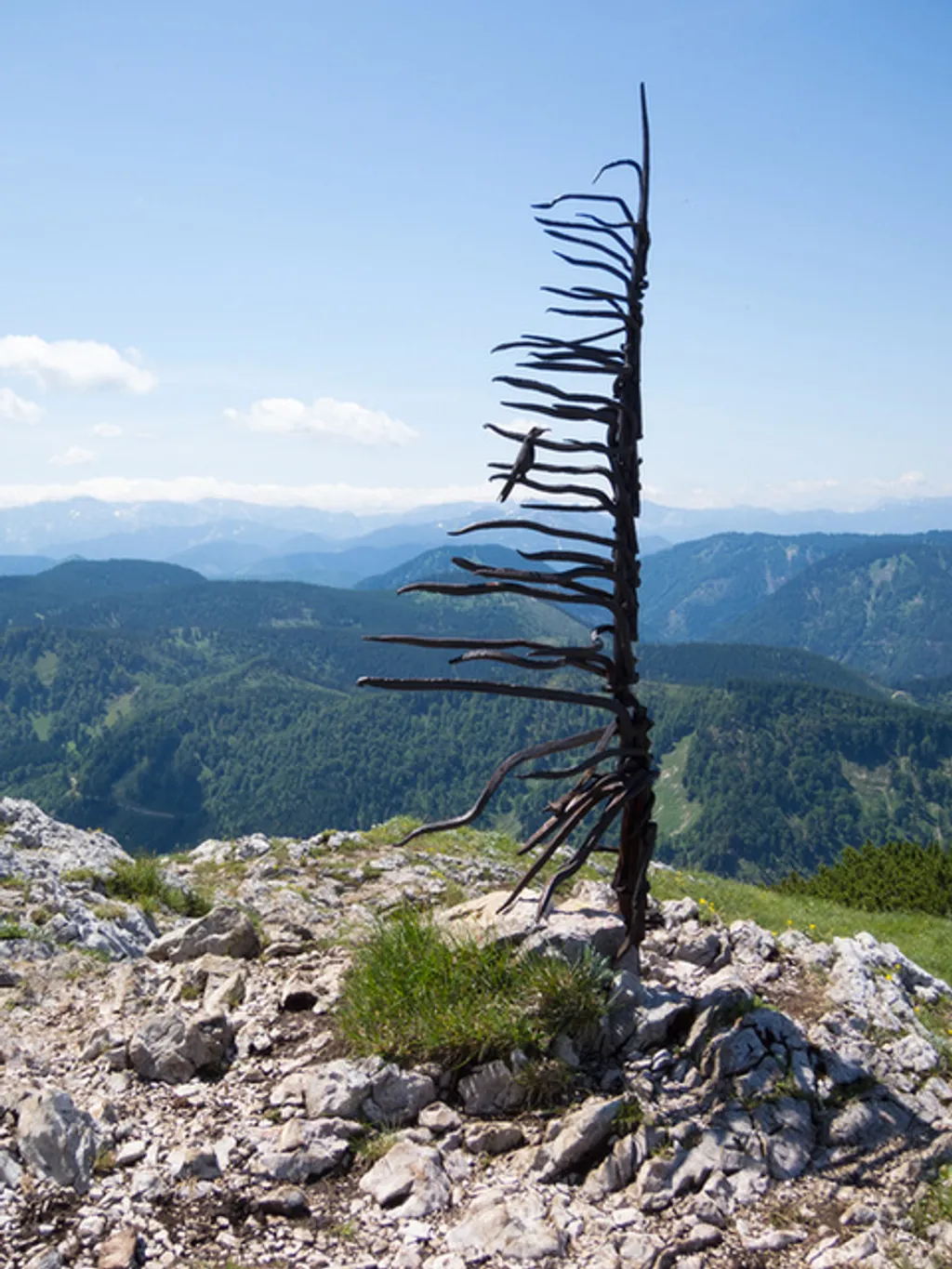 Fotó: Jakob Hürner / flickr 