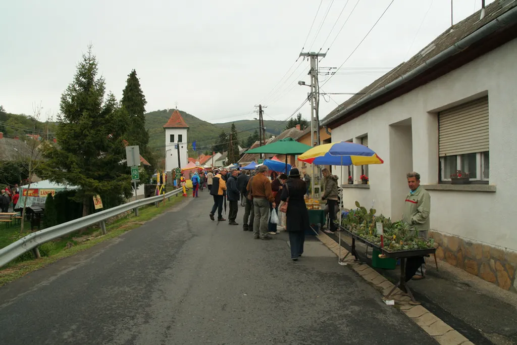 Fotó: Travelo / Travelo 