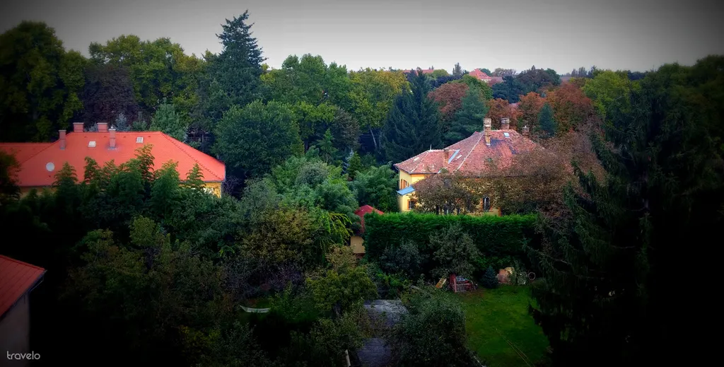 Fotó: mimi 