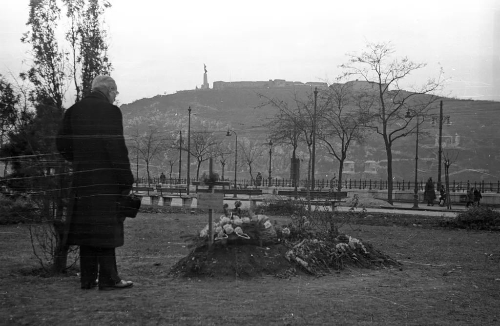 Forrás: Fortepan Bauer Sándor