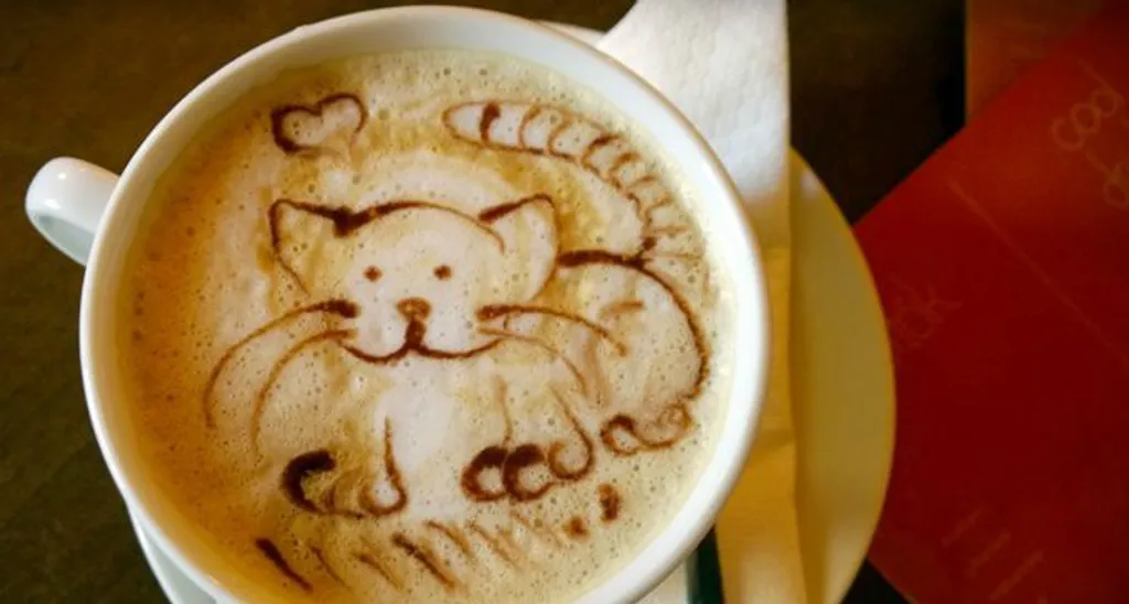 Fotó: Catcafé 