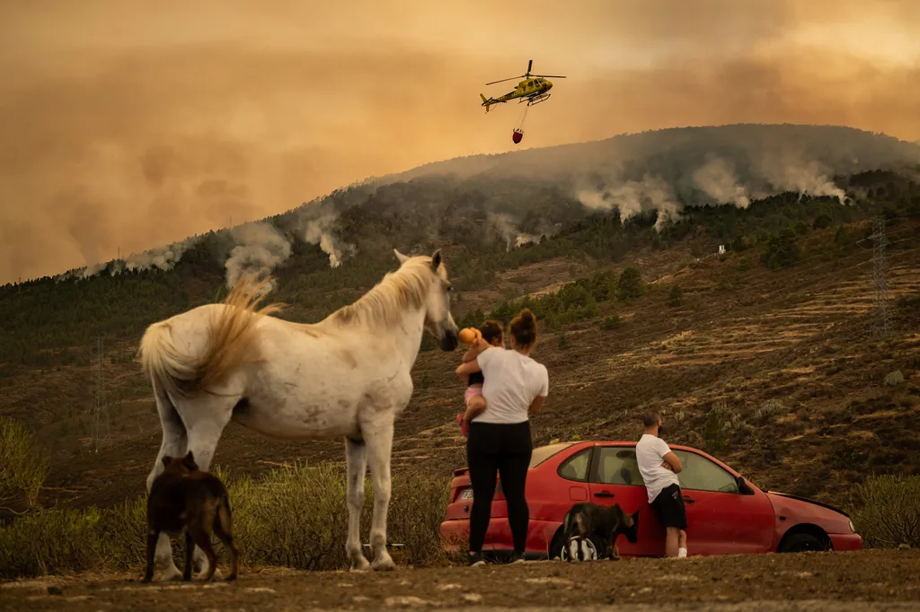 Forrás: Anadolu Agency via AFP/2023 Anadolu Agency/Andres Gutierrez