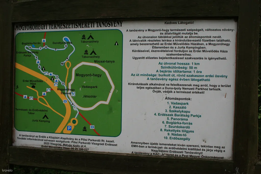 Fotó: hollosye 