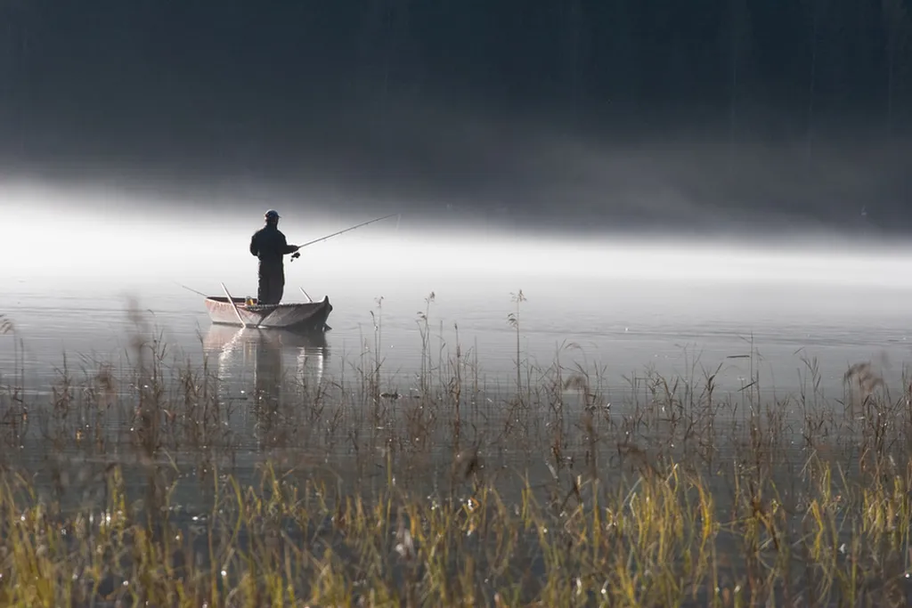Fotó: Jakob Hźrner / flickr 