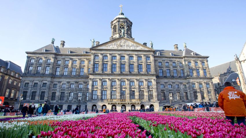 tulipánnap
