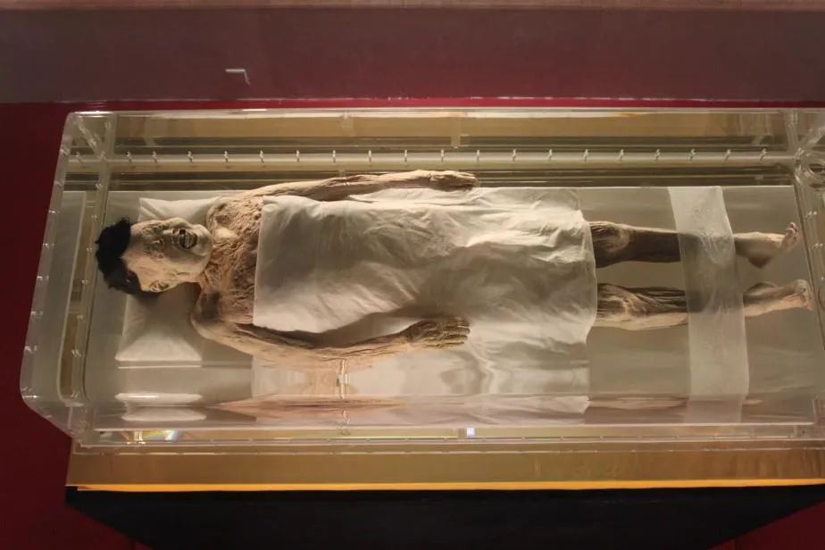 múmia, 3D-s digitális kép, Kína, Xin Zhui, Lady Dai, nemesasszony, arcrekonstrukció, Hunan Múzeum