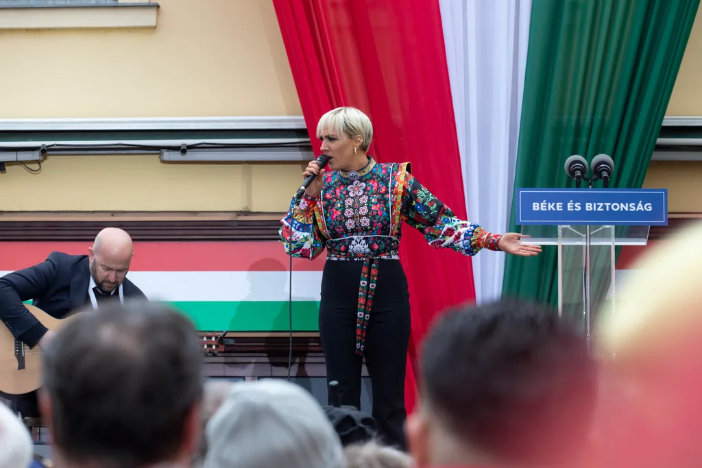 Tóth Gabi hajak