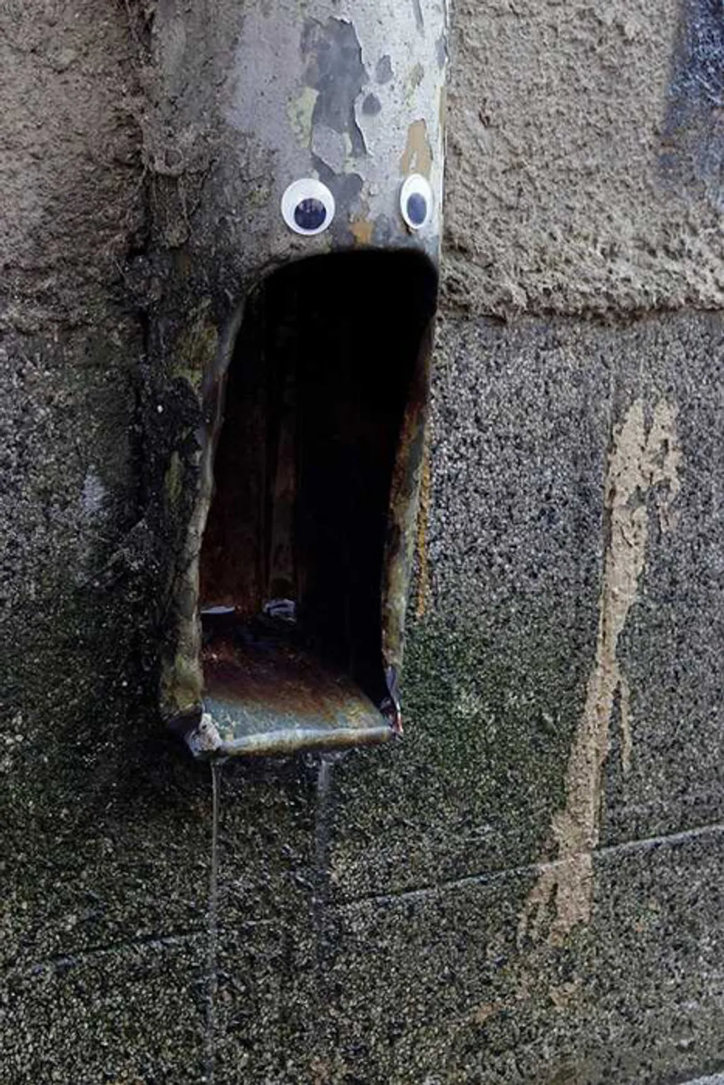 Fotó: Eyebombing.bg 