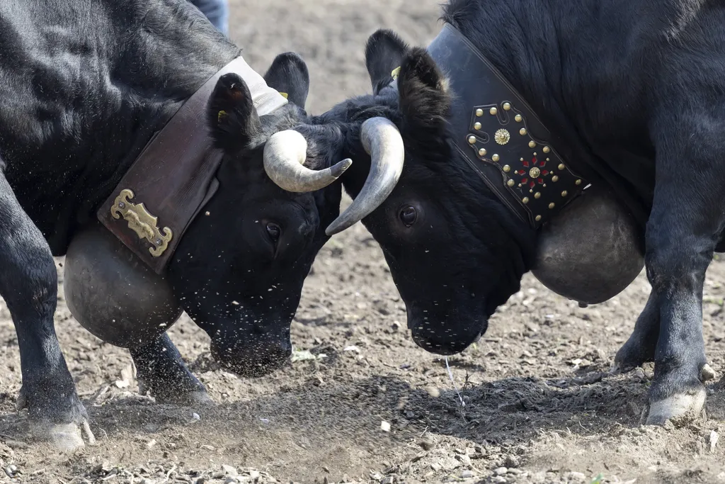 Forrás: MTI/EPA/Keystone/Salvatore Di Nolfi
