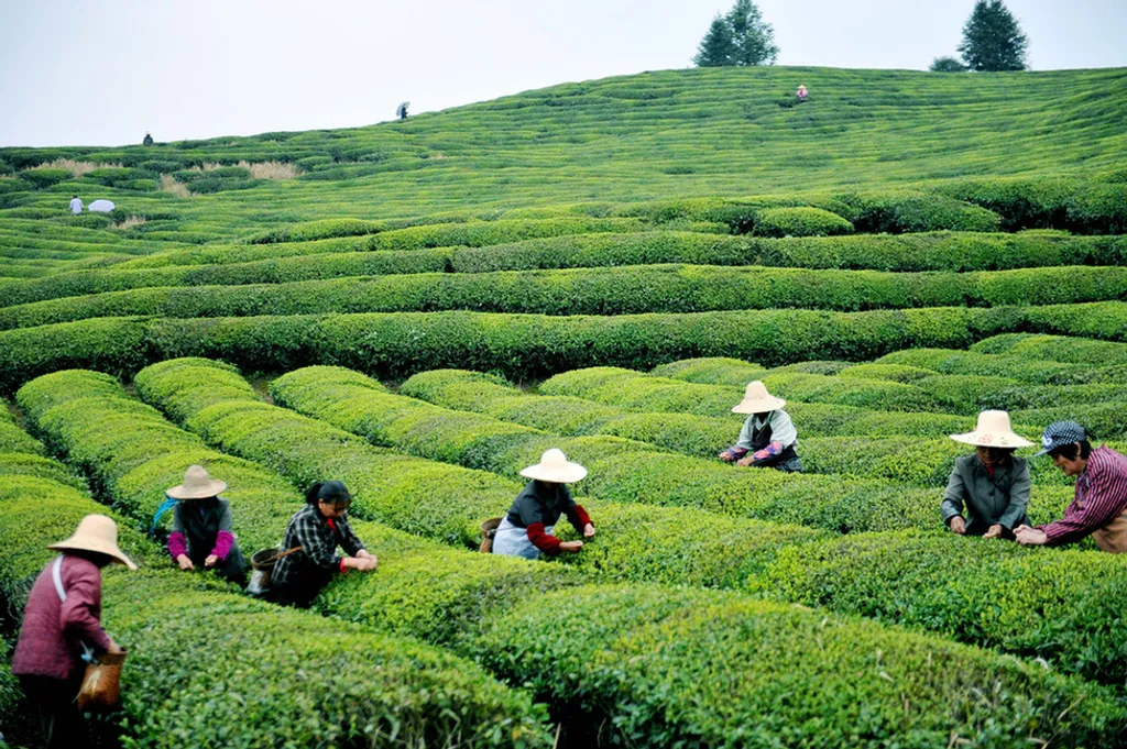 Fotó: Zhuo Zhongwei Xinhua / Eyevine / Northfoto 