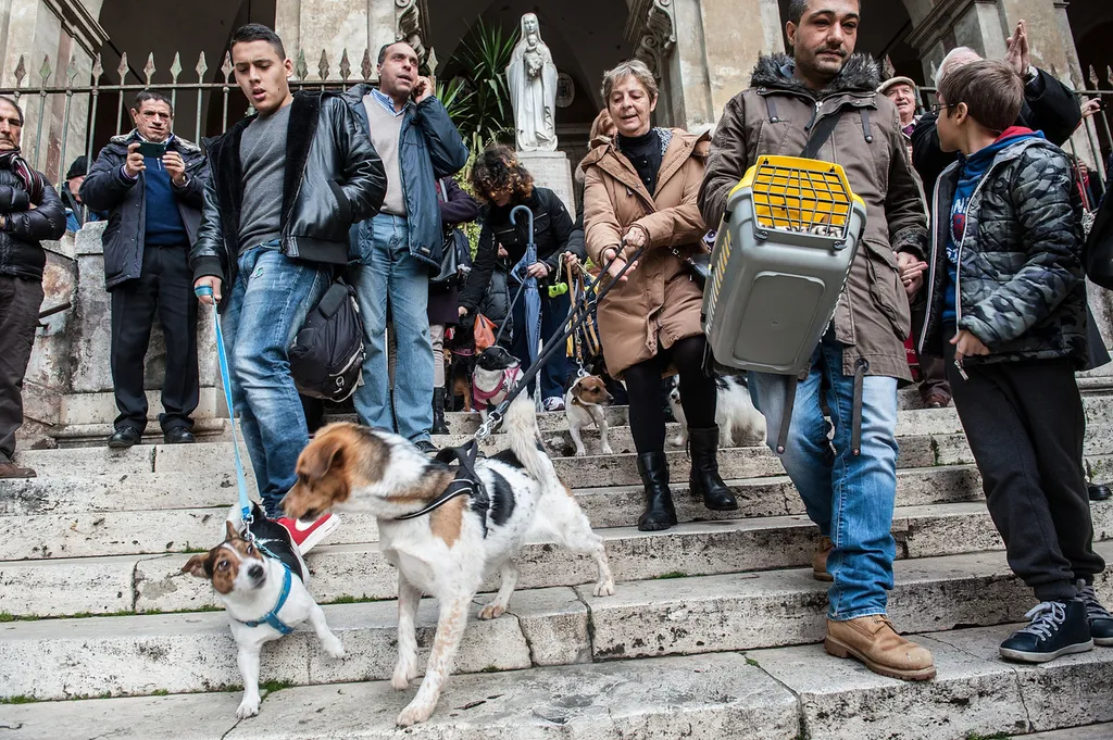 Fotó: Giorgio Cosulich / Europress / Getty 