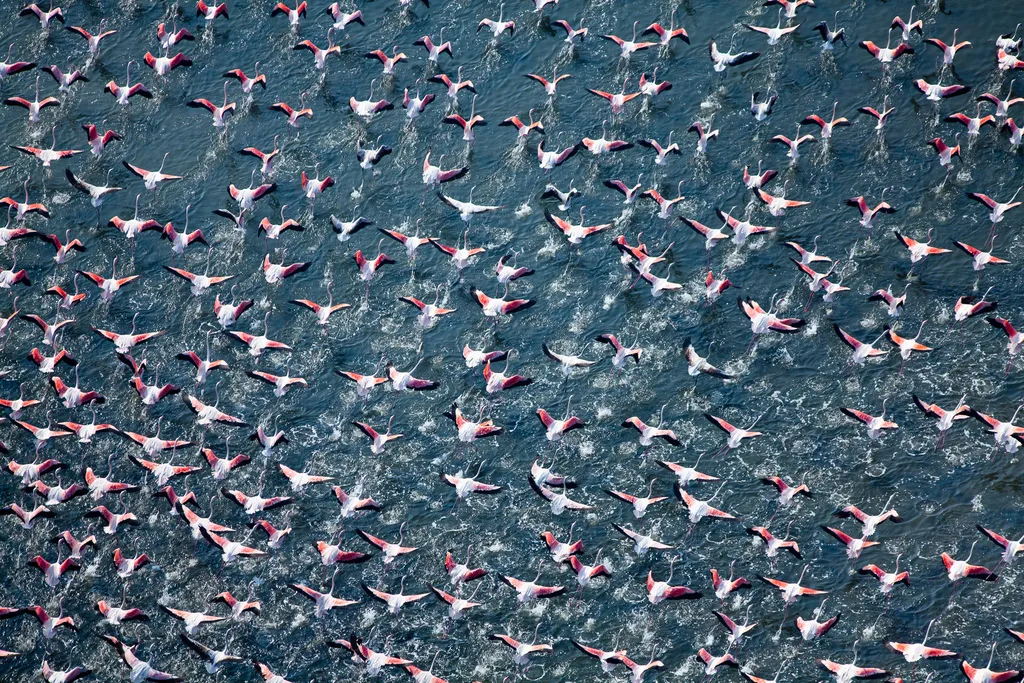 Fotó: Alex S. Maclean / Barcroft Usa / Northfoto 